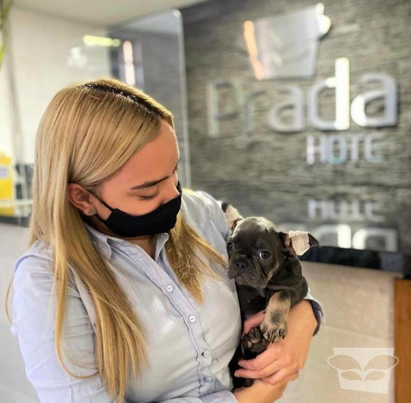 Hotel Prada Sas Белло Екстер'єр фото
